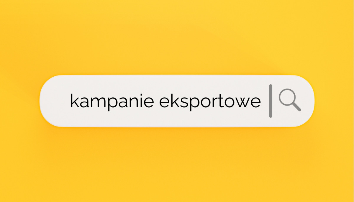 kampanie eksportowe