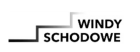 Historia współpracy z Windy Schodowe