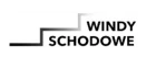 Historia współpracy z Windy Schodowe