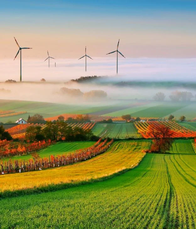 Field Wallpapers 35 3840 x 2160