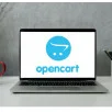 OpenCart - największe zestawienie platform e-commerce
