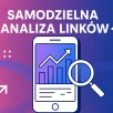 Jak wykonać analizę linków krok po kroku dla lepszego SEO?