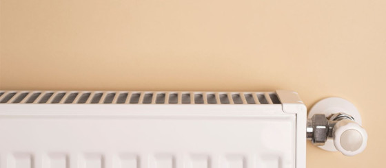 Pozycjonowanie sklepu internetowego tukado.pl. Rok pracy nad widocznością w Google
