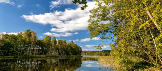 Pozycjonowanie i reklama ośrodka wypoczynkowego: case study Wiatraki Nature Resort