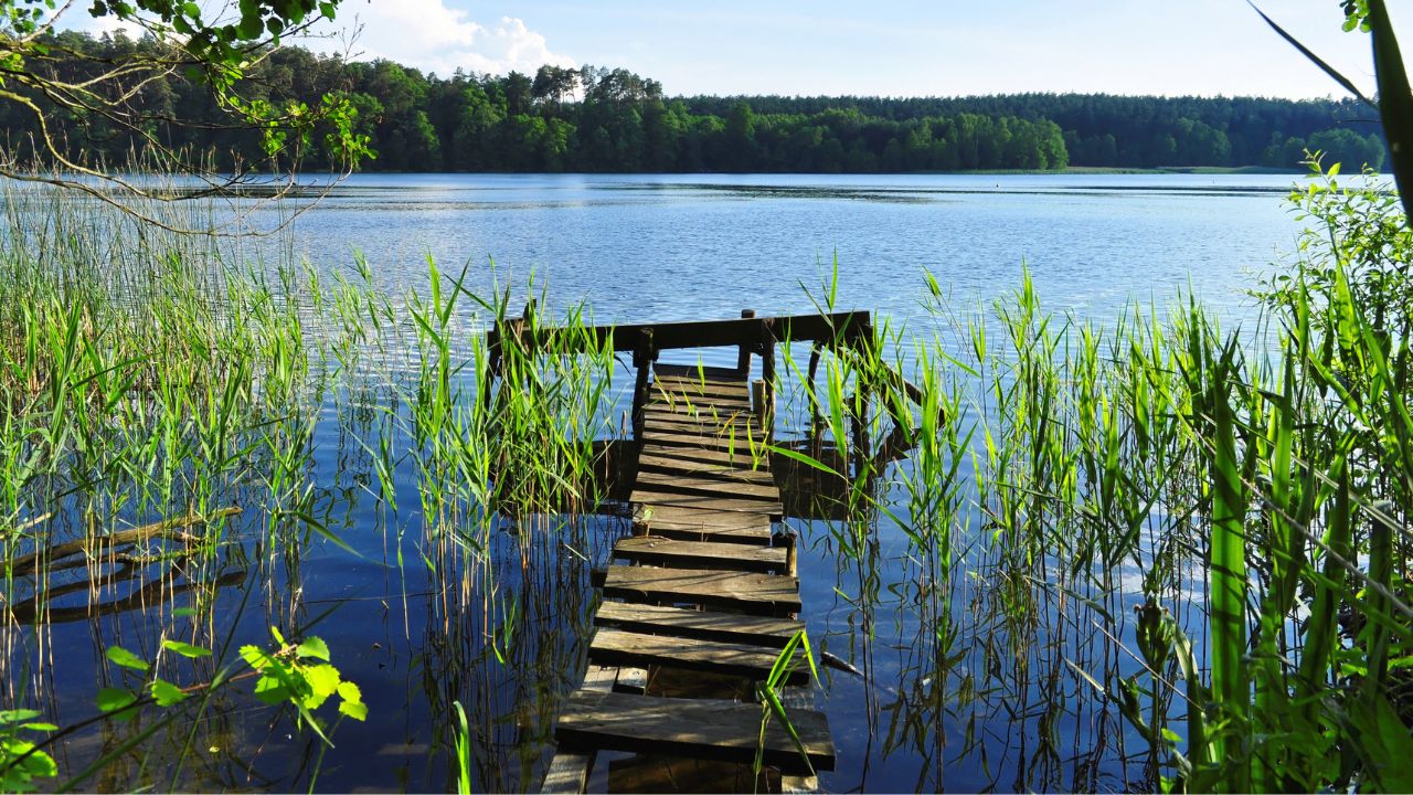 wiatraki nature resort 2