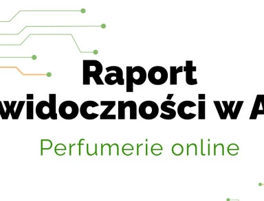 Raport AI okladka 1