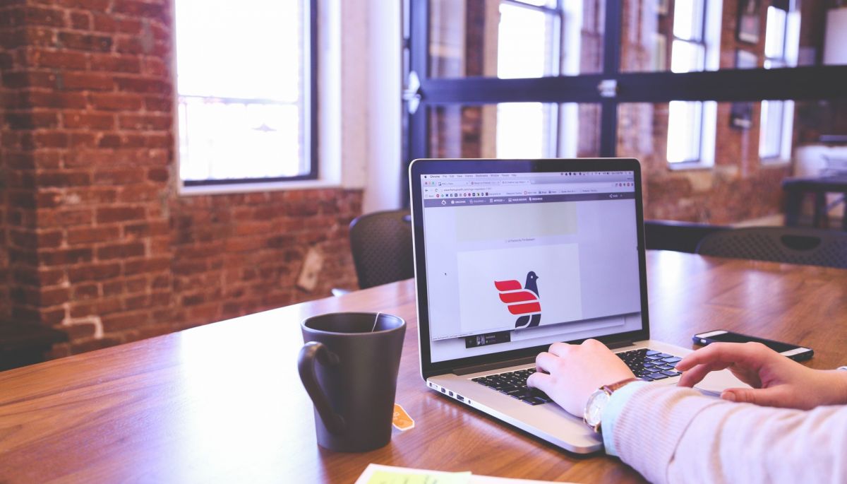 ppc seo sem widoczni