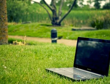 widoczni offline