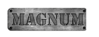 Historia współpracy Magnum Arena