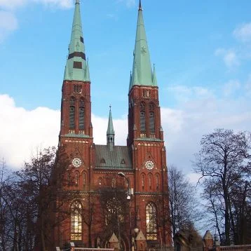 bazykika antoniego agencja seo rybnik