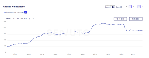 Case study SEO dla sklepu internetowego