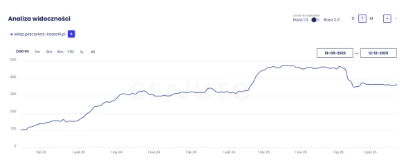 Case study SEO dla sklepu internetowego