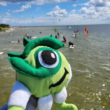 297711100 2462394467229120 2139675781529093113 n